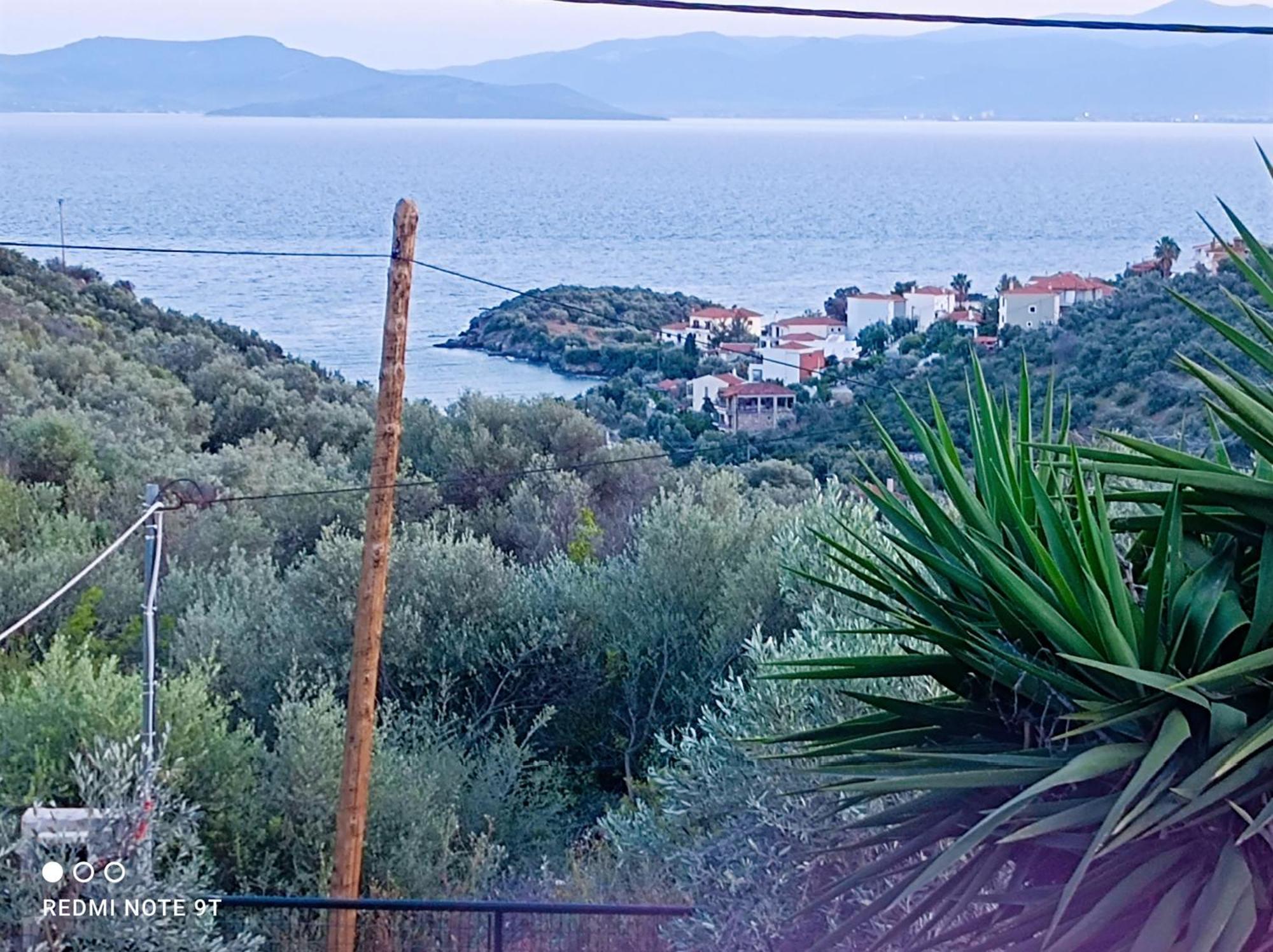 Villa Marathos Hill à Vólos Extérieur photo